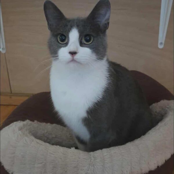 Mia